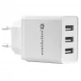 Everactive PHONE CHARGER 3X USB 3, 4A BALTS