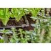 Caurules savienotājs Gardena 13202-20 pilienveida apūdeņošanas sistēmai