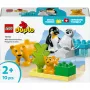 Lego 10442 Savvaļas dzīvnieku ģimenes: Pingvīni un Lauvas