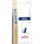 Sausā barība kaķiem Royal Canin Renal Adult 2 kg — vistas garša