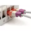 Digitus A-CC-MG Ethernet Patch Kabelis Fuksīns