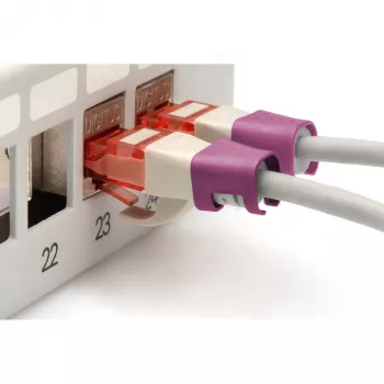 Digitus A-CC-MG Ethernet Patch Kabelis Fuksīns