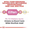 Sausā kaķu barība Royal Canin British Shorthair Kitten 2 kg – vista, 38% olbaltumvielas, 20% tauki, augšanas formula