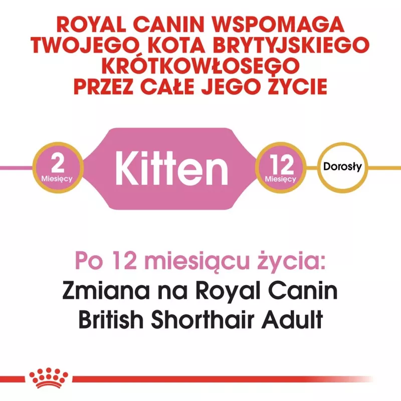 Sausā kaķu barība Royal Canin British Shorthair Kitten 2 kg – vista, 38% olbaltumvielas, 20% tauki, augšanas formula