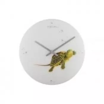 NeXtime kloks 8137 Turtle, Ø43 cm, sienas, Balts/Zaļš