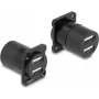 DeLOCK D-Type modulis USB 2.0 Type-A 2 x sievišķais uz 2 x sievišķais