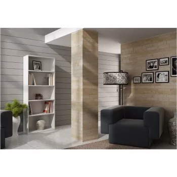 Topeshop R60 BIEL biroja grāmatu skapis