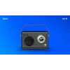 Pārnēsājamais radio Savio RS-01 Analog Melns