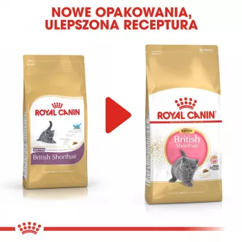 Sausā kaķu barība Royal Canin British Shorthair Kitten 2 kg – vista, 38% olbaltumvielas, 20% tauki, augšanas formula
