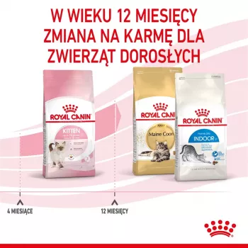 Royal Canin FHN Kitten sausais ēdiens kaķēniem, 4 kg