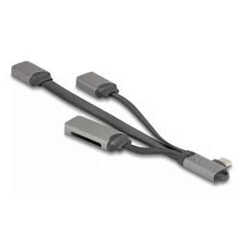 DeLOCK 64303 USB 3.2 Gen 1 Type-C Hubs 5000 Mbit/s Pelēks