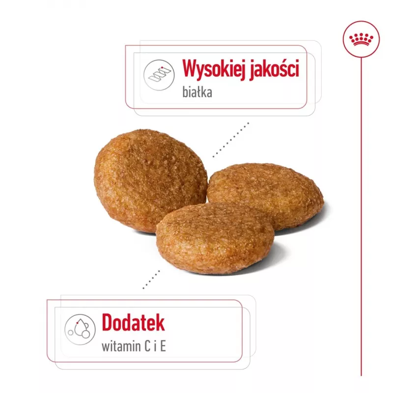 Royal Canin SHN Medium Adult sausā barība suņiem, 15 kg