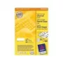 Avery - Etiketes - Baltas - A4 (210 x 297 mm) - 100 gab. (3667)