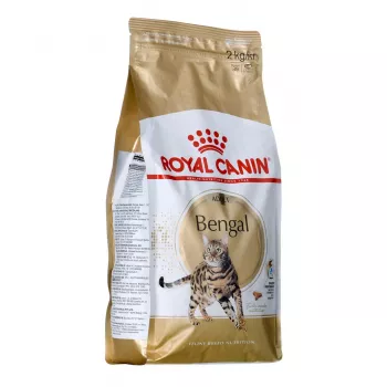 Sausā kaķu barība Royal Canin Bengal Adult 2 kg — mājputni, 40% olbaltumvielas, 18% tauki, gremošanas un ādas kopšana