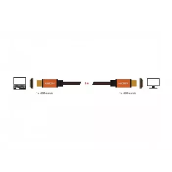HDMI kabelis DeLOCK 85729 2 m HDMI Type A Standarts Melns Zelts