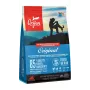ORIJEN Dog Original sausā suņu barība - 2kg