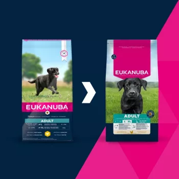 Sausā suņu barība EUKANUBA Adult Large Chicken 15 kg