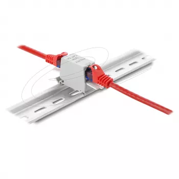 DELOCK Cat.6A RJ45 savienotājs dubultā ligzda-ligzda DIN sliedei, pelēks
