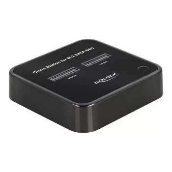 DeLOCK 64178 Docking Station USB 3.2 Gen 2 Type-C M.2 SSD