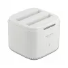 Docking Station DeLOCK USB Type-C 3.2 2 x 2.5 inch SATA HDD/SSD