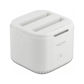Docking Station DeLOCK USB Type-C 3.2 2 x 2.5 inch SATA HDD/SSD