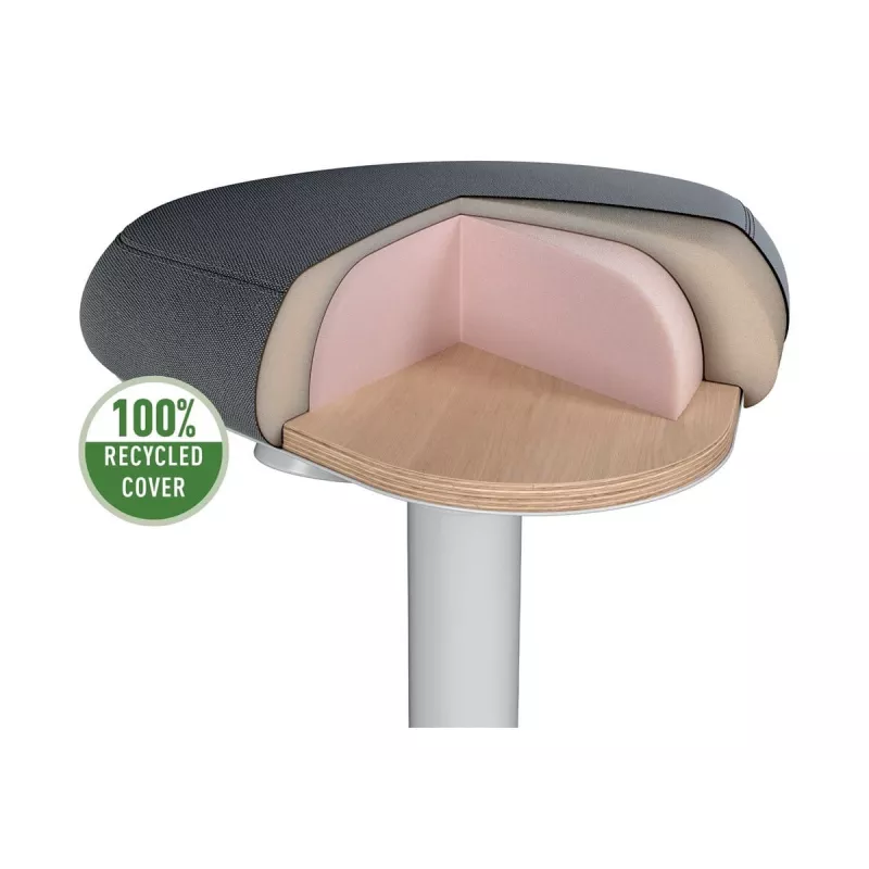 Biroja krēsls Leitz 65440085 Pildīts sēdeklis Pelēks Plastmasas rāmis