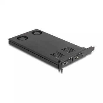 Delock PCI Express x16 kartes rāmis 2 x M.2 NVMe SSD bifurācijai 47042