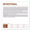 VET EXPERT Veterinary Diet Intestinal Dog - sausā barība suņiem - 12 kg