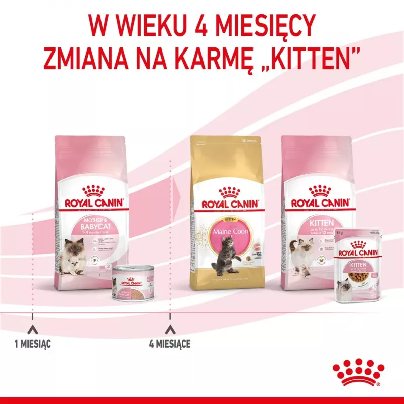 Royal Canin BABYCAT INSTINCTIVE - Slapjā kaķu barība - 195 g
