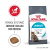 Royal Canin Urinary Care sausā barība kaķiem Adult Poultry 2 kg
