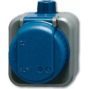Busch-jaeger 2CKA002083A0343 Blue