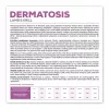 VETEXPERT Veterinary Diet Dermatosis Dog Lamb & Krill sausā barība suņiem, 2 kg