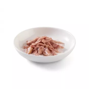 SCHESIR želejā Tuncis - slapjš kaķu barība - 85 g
