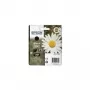 Epson Daisy vienas kasetnes komplekts Melns 18XL Claria Home Ink, Augstas (XL) ietilpības, Melna, Pigmenta tinte, 1 gab.