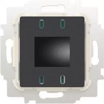 Busch-Jaeger 2CKA006800A3118