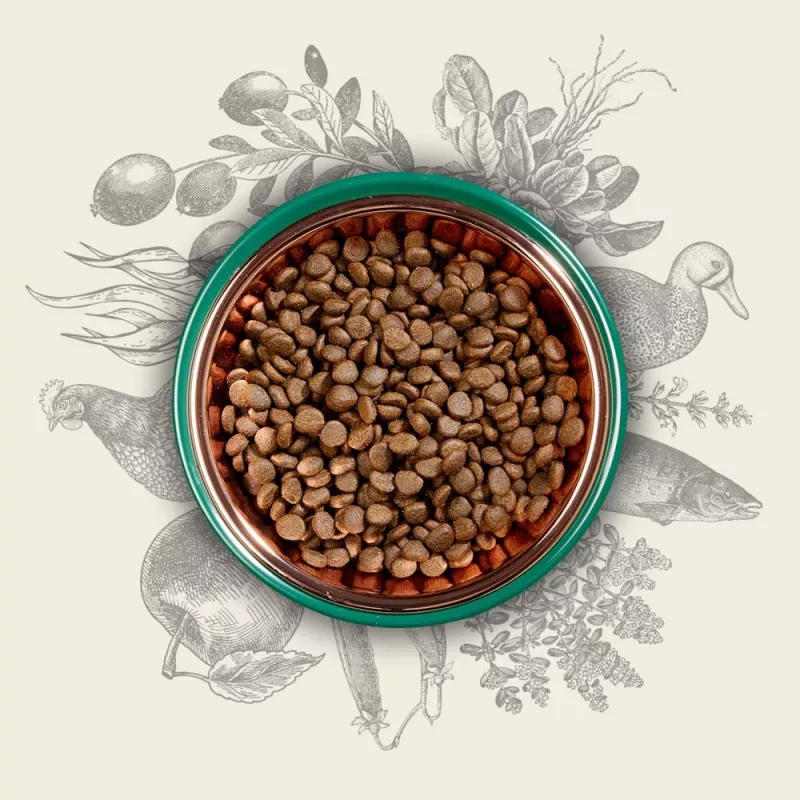 Eden Original Cousine sausā kaķu barība, 10 kg