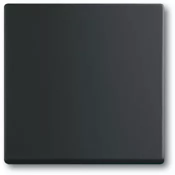Slēdzis Busch-Jaeger 1751-0-3041, plastmasas korpuss, melns, spiedpogas, 63×63 mm