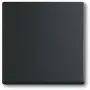 Slēdzis Busch-Jaeger 1751-0-3041, plastmasas korpuss, melns, spiedpogas, 63×63 mm