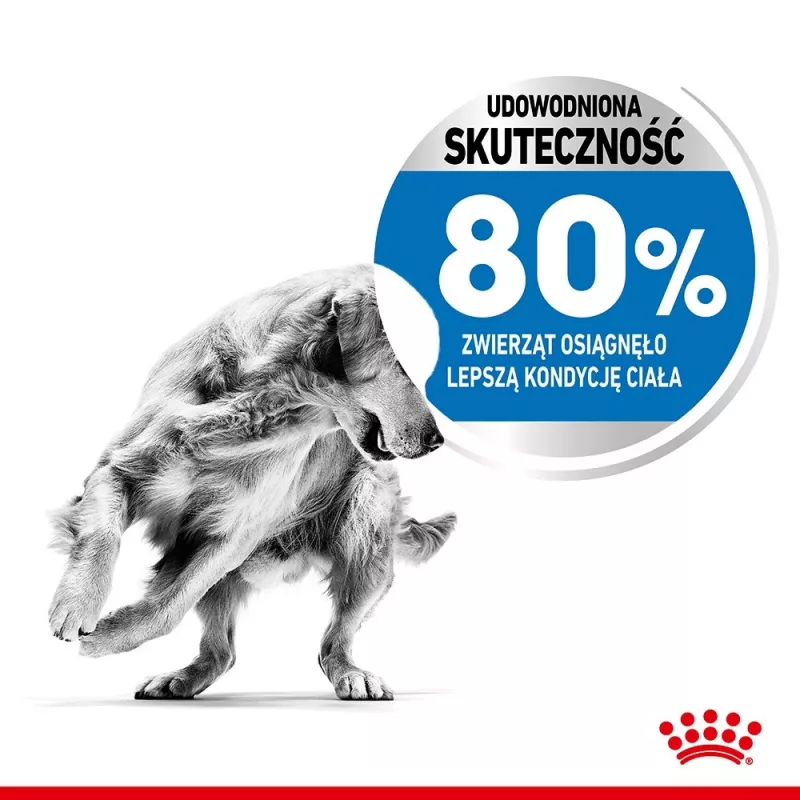 Royal Canin SHN Medium Light Care 3 kg