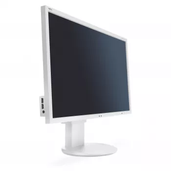 NEC G202591-003A4 Displejs