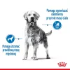 Royal Canin SHN Medium Light Care 3 kg