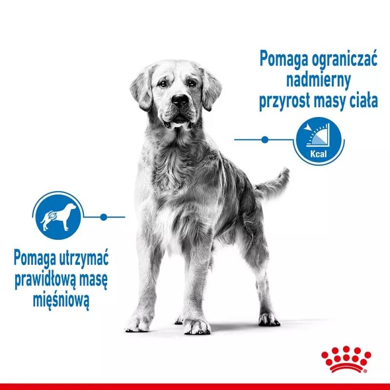 Royal Canin SHN Medium Light Care 3 kg