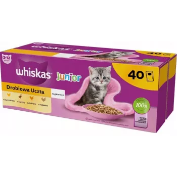 Slapjā barība kaķēniem Whiskas Junior Poultry in jelly 40 x 85 g