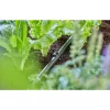 Šļūtenes turētājs Gardena 13208-20 Melns Zemē ieduršanai