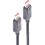 ShiverPeaks Basic-S DisplayPort kabelis 2m