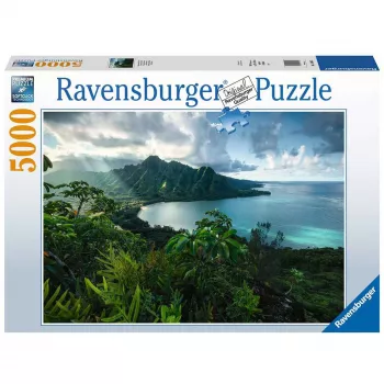 Kontūrpuzle Ravensburger 16106 5000 gab. Flora