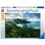 Kontūrpuzle Ravensburger 16106 5000 gab. Flora
