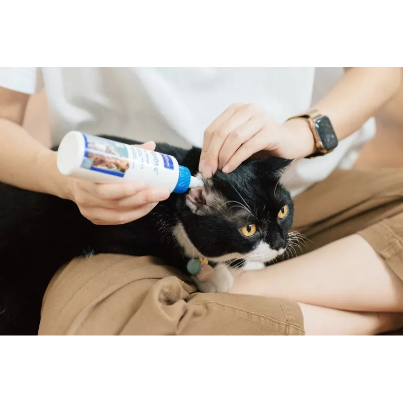 Ausu tīrīšanas šķīdums VIRBAC EPI-OTIC S-I-S suņiem un kaķiem 60 ml
