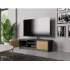TV statīvs Top e Shop RTV 120 ANTR/ARTIS — 1200×400×360 mm, antracīta krāsas virsma un rāmis, skaidu plātne, 2 plaukti