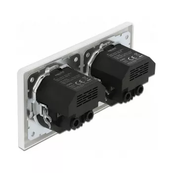Sienas kontaktligzda DeLOCK 2-vietīga ar 4 USB portiem 2 x 2,8 A